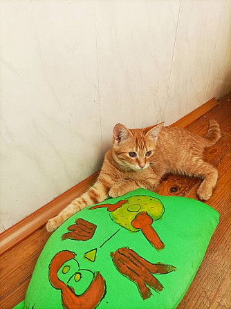 Маленькая рыжая кошечка котенок Апельсинка ищет дом!  - photo 1